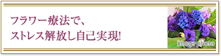 フラワー療法で、ストレス解放し自己実現！
