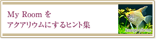 My Room をアクアリウムにするヒント集