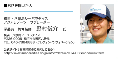 野村 俊介