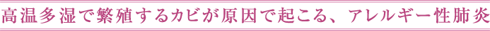 高温多湿で繁殖するカビが原因で起こる、アレルギー性肺炎