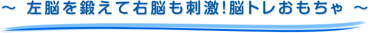 ～ 左脳を鍛えて右脳も刺激！脳トレおもちゃ ～