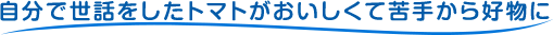 自分で世話をしたトマトがおいしくて苦手から好物に