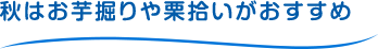 秋はお芋掘りや栗拾いがおすすめ