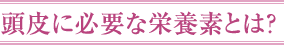 頭皮に必要な栄養素とは？