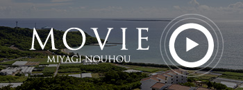 MOVIE MIYAGI NOUHOU