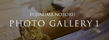 FUJINUMA NOBORU PHOTO GALLERY 1