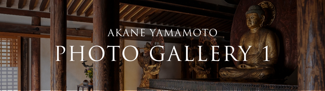 PLATINUM SALON AKANE YAMAMOTO PHOTO GALLERY 1