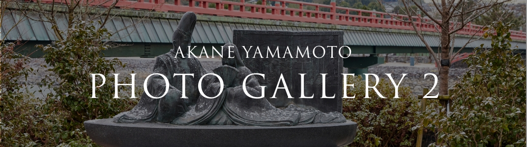 PLATINUM SALON AKANE YAMAMOTO PHOTO GALLERY 2