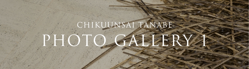 CHIKUUNSAI TANABE PHOTO GALLERY 1