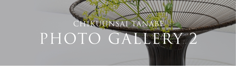 CHIKUUNSAI TANABE PHOTO GALLERY 2