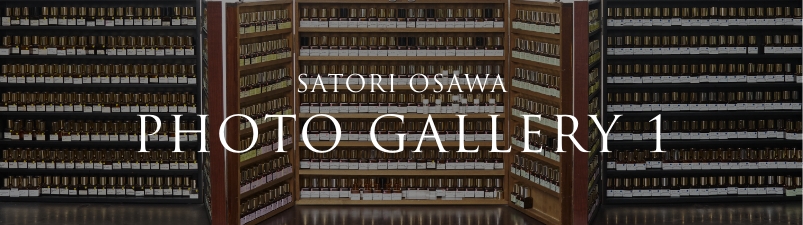 SATORI OSAWA PHOTO GALLERY 1
