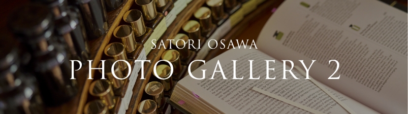 SATORI OSAWA PHOTO GALLERY 2