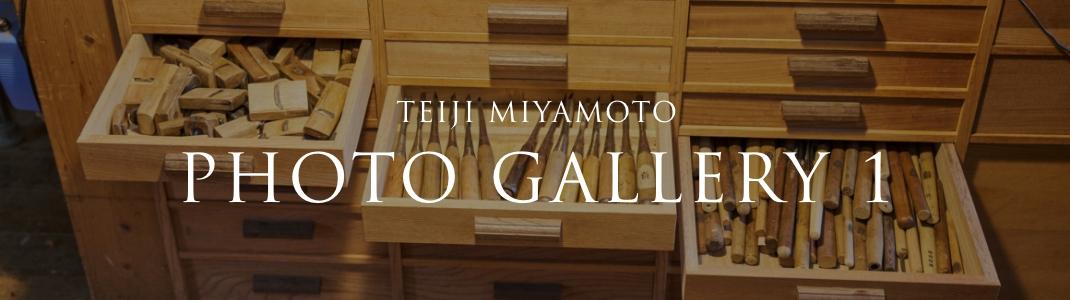 TEIJI MIYAMOTO PHOTO GALLERY 1
