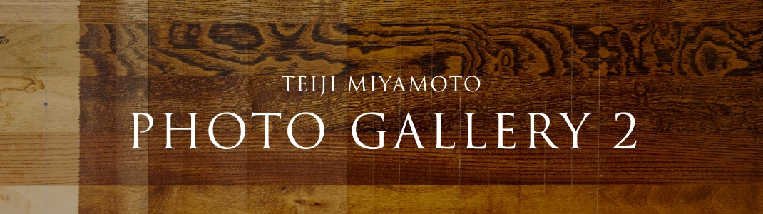 TEIJI MIYAMOTO PHOTO GALLERY 2