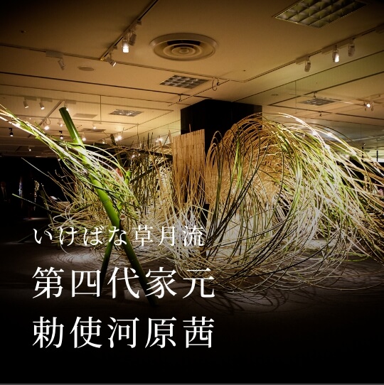 いけばな草月流 第四代家元 勅使河原茜