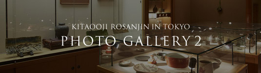 KITAOOJI ROSANJIN IN TOKYO PHOTO GALLERY 2