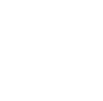 木の深い瞑想の中にあったのだが木蓮はだまって雨の日に咲く