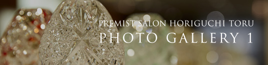 PREMIST SALON HORIGUCHI TORU PHOTO GALLERY 1