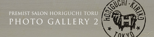 PREMIST SALON HORIGUCHI TORU PHOTO GALLERY 2