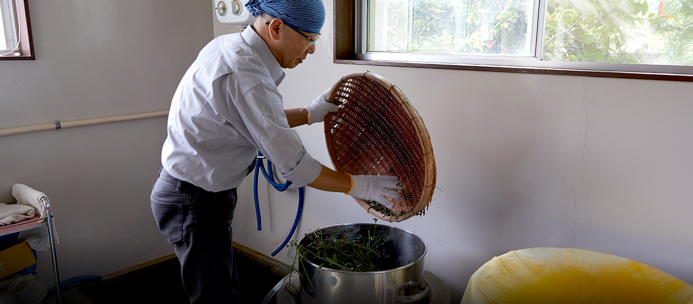野草をさっと水洗いし、鍋に入れやすい大きさに切り、大鍋で30分ほど煮て色素を出す。