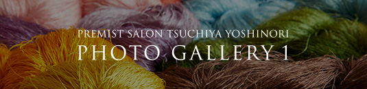 PREMIST SALON TSUCHIYA YOSHINORI PHOTO GALLERY 1