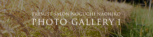PREMIST SALON NOGUCHI NAOHIKO PHOTO GALLERY 1