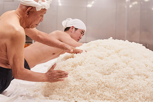 麹菌はあたたかく湿度のある環境を好むため、種麹が付着した米を小山のようにまとめ、布に包み保温し、菌を繁殖させる。その方法にも杜氏それぞれに流儀がある。