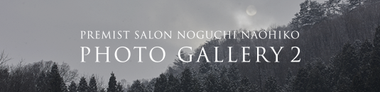 PREMIST SALON NOGUCHI NAOHIKO PHOTO GALLERY 2