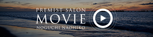 PREMIST SALON MOVIE NOGUCHI NAOHIKO