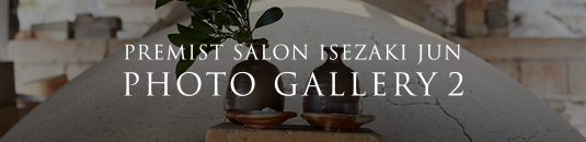 PLATINUM SALON ISEZAKI JUN PHOTO GALLERY 2