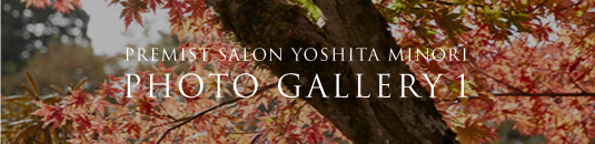 PREMIST SALON YOSHIDA MINORI PHOTO GALLERY 1