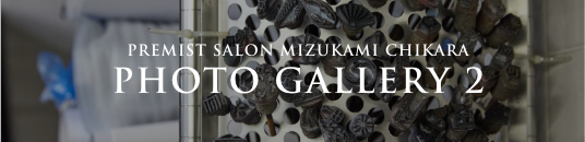 PREMIST SALON MIZUKAMI CHIKARA PHOTO GALLERY 1