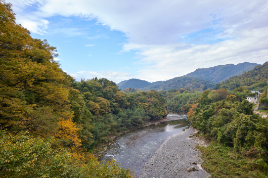 秩父は水の質が良いことから、昔から酒造がさかんだった。現在も4軒の酒蔵が残り、近年はクラフトビールの醸造所も加わった。