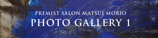 PREMIST SALON MATSUI MORIO PHOTO GALLERY 1
