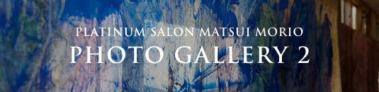 PREMIST SALON MATSUI MORIO PHOTO GALLERY 1