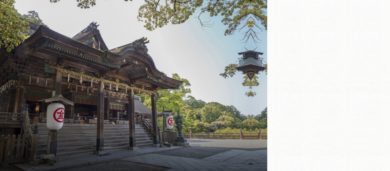 神域の新緑を背にした金刀比羅宮の本宮。
            古くから信仰の地として守られてきた森には、樹齢八百年以上の楠などが生い茂る。