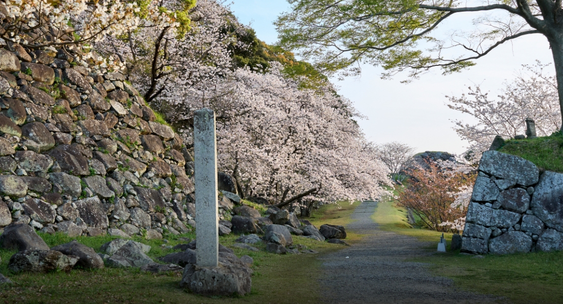 名護屋城址本丸への道。朝鮮出兵で諸大名の思惑が錯綜する中、領主の波多氏は秀吉の不興を買い、肥前を追放された。
