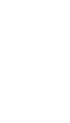貴重な桜を多数育てている佐野邸の庭では、春の夜、篝火に照らされた花の霞が夢幻の世界へと人々を誘う。