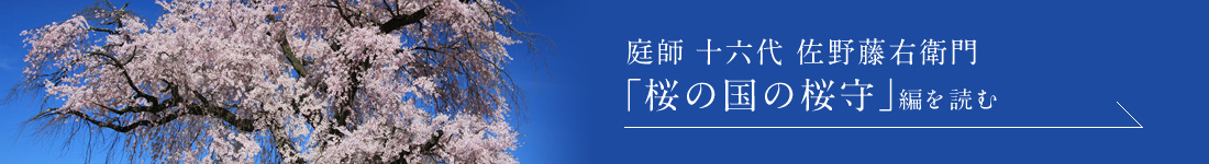 庭師 十六代 佐野藤右衛門 「桜の国の桜守」編を読む