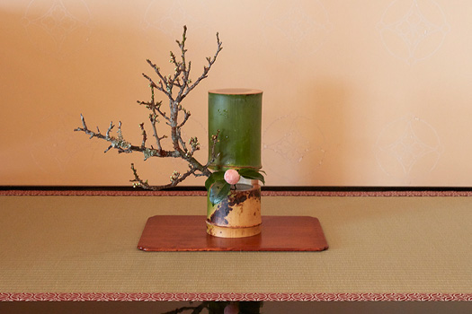 茶室の花は、季節の自然を象徴する存在で、利休は「花は野にあるように」という言葉を残した。もてなしの心を花で表現した小堀遠州にならい、遠州流では花の効果を重視する。
花／曙椿、白梅
花入/宗実作　一重切　竹花入