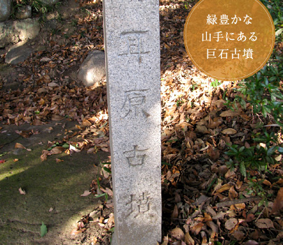 緑豊かな山手にある巨石古墳