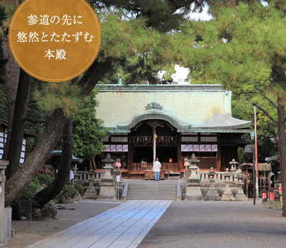 参道の先に悠然とたたずむ本殿