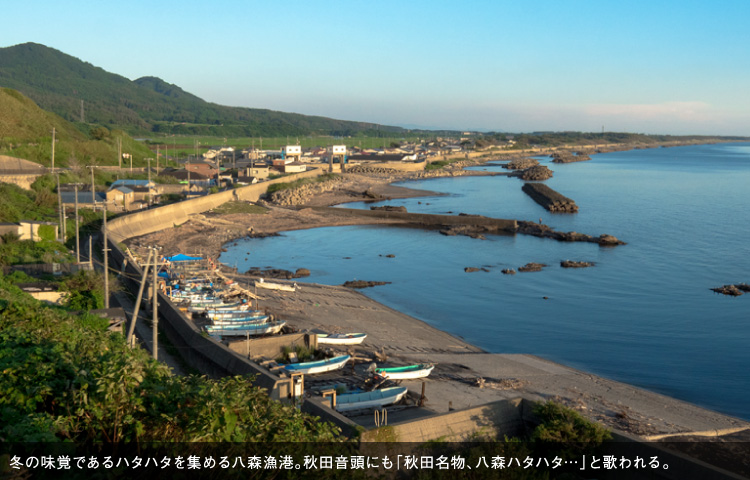 冬の味覚であるハタハタを集める八森漁港。秋田音頭にも「秋田名物、八森ハタハタ…」と歌われる。