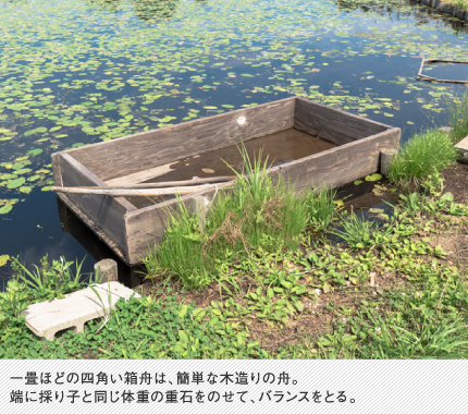 一畳ほどの四角い箱舟は、簡単な木造りの舟。端に採り子と同じ体重の重石をのせて、バランスをとる。