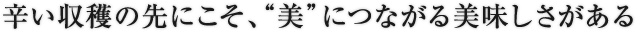 辛い収穫の先にこそ、“美”につながる美味しさがある
