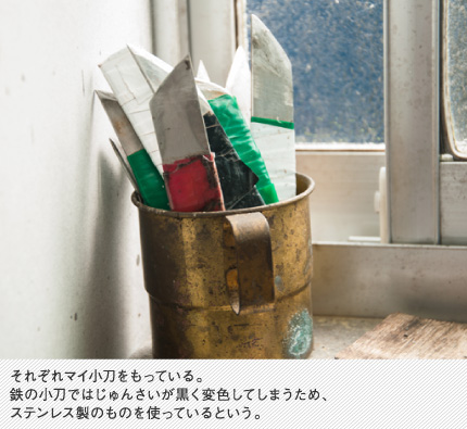 それぞれマイ小刀をもっている。鉄の小刀ではじゅんさいが黒く変色してしまうため、ステンレス製のものを使っているという。