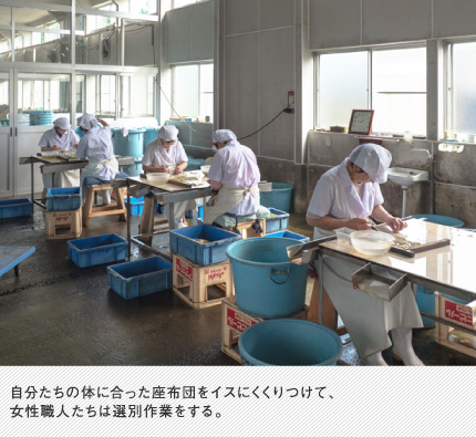 自分たちの体に合った座布団をイスにくくりつけて、女性職人たちは選別作業をする。