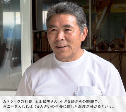 カネショクの社長、金山松男さん。小さな頃からの経験で、沼に手を入れればじゅんさいの生長に適した温度が分かるという。
