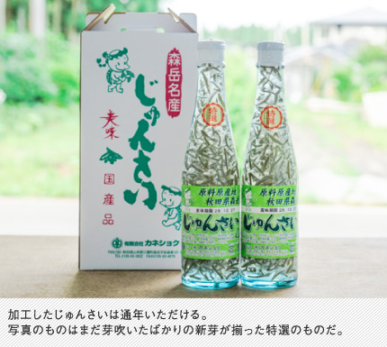 加工したじゅんさいは通年いただける。写真のものはまだ芽吹いたばかりの新芽が揃った特選のものだ。