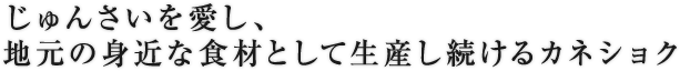 じゅんさいを愛し、地元の身近な食材として生産し続けるカネショク